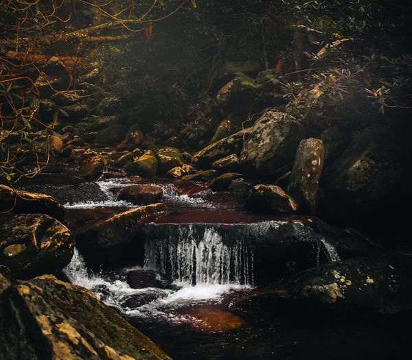 A creek waterfall in the Smokey Mountains.