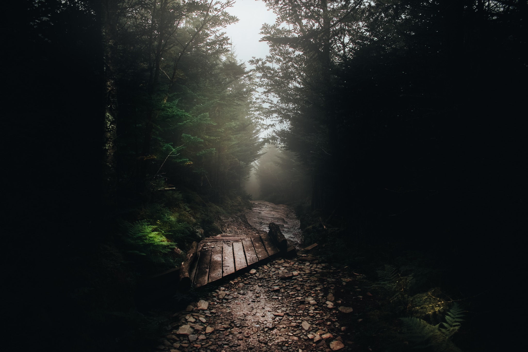 a Bridge lay across a hiking path in the appalachians to cross creek on foot.