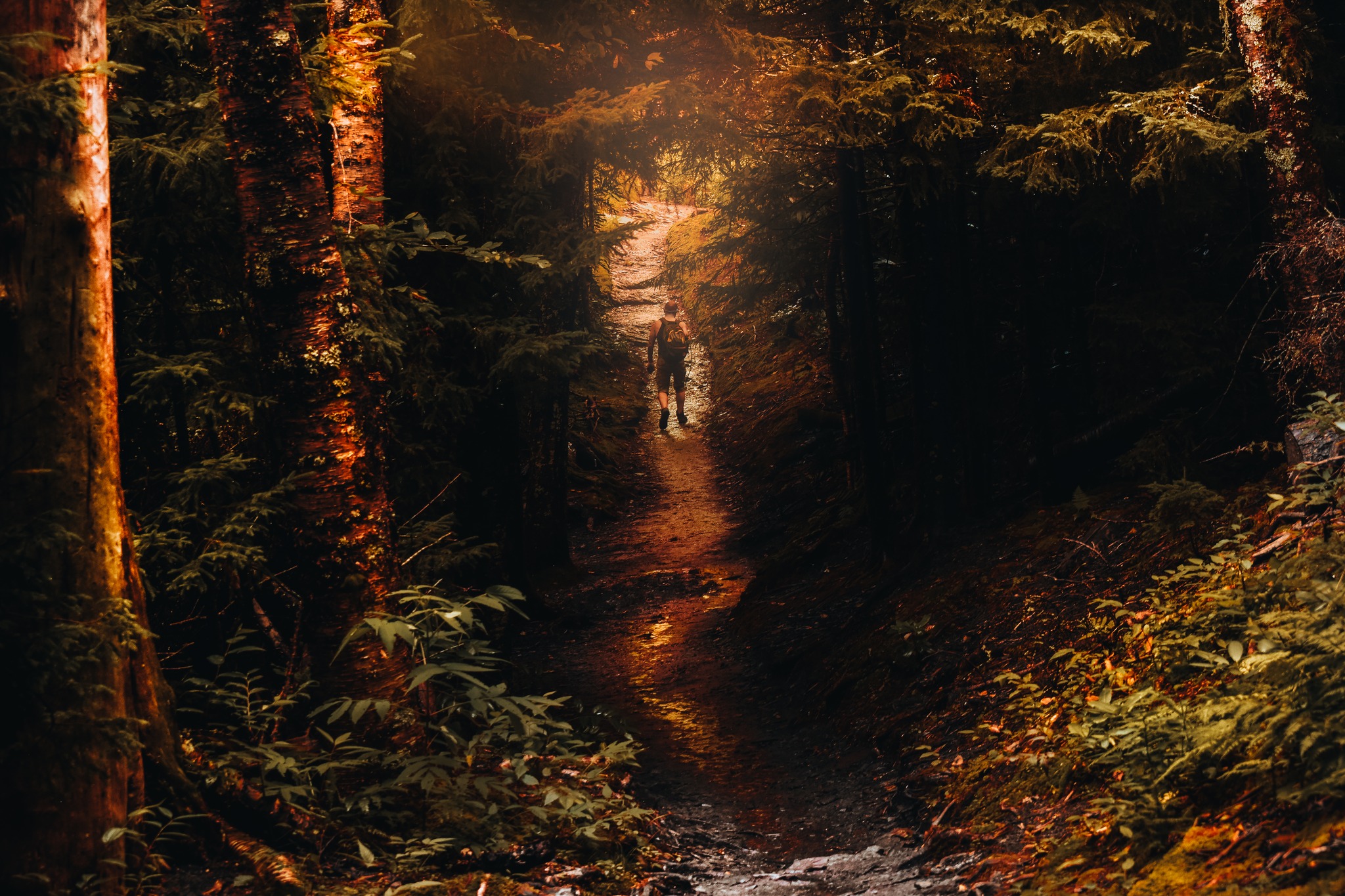 A man hiking through the Appalachians