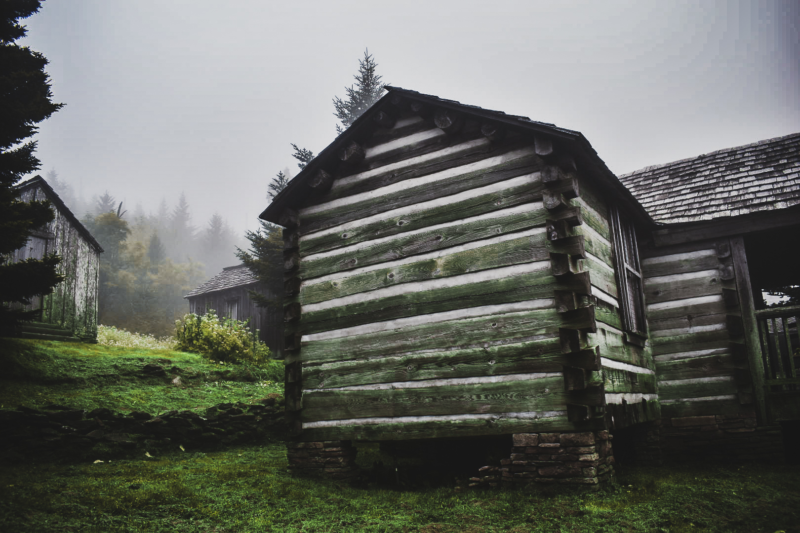 An image in Leconte Village up deep in the mountains.