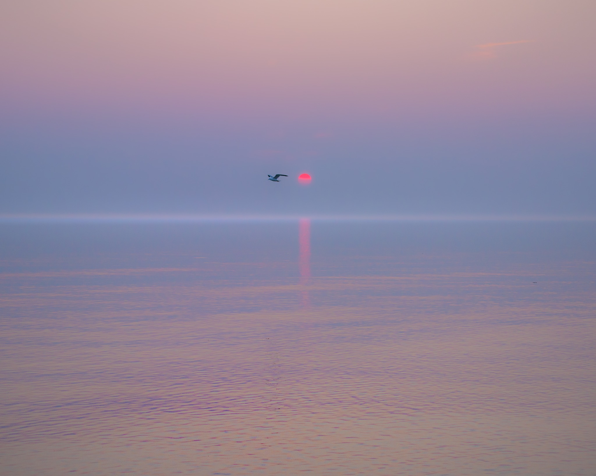 A sunset on Lake michigan take during the forest fires in Canada.