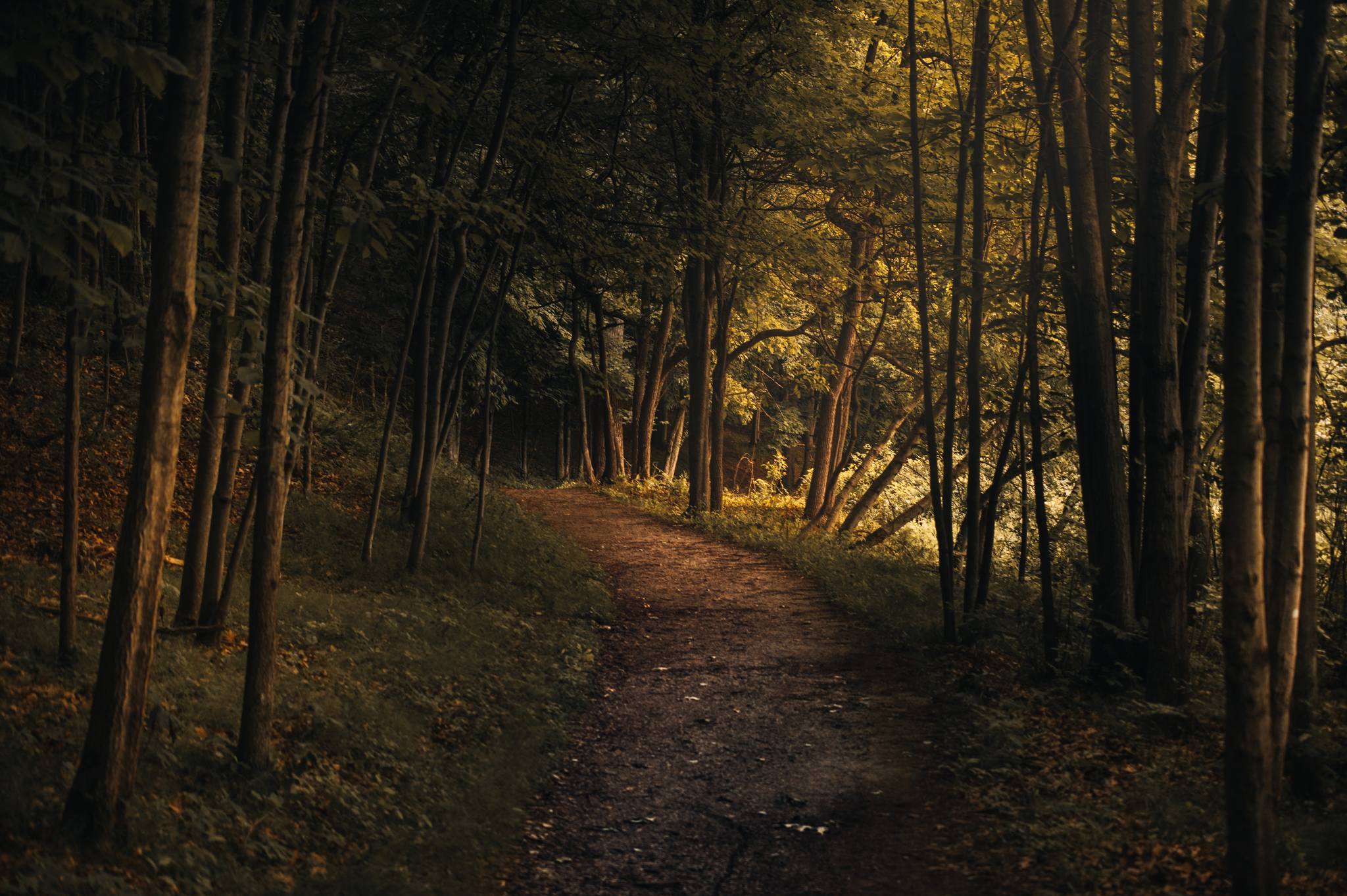 A man hikes down a path in the Smokey Mountains.