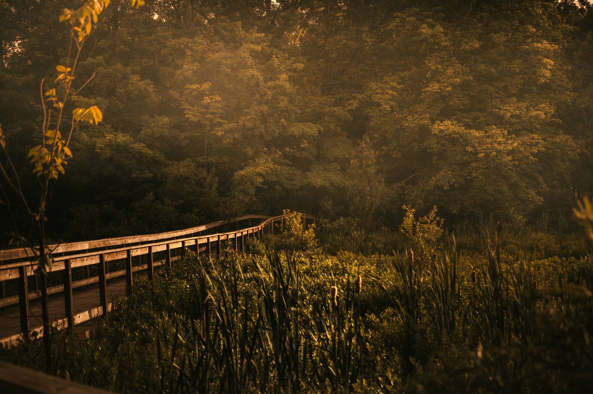 A man crosses a bridge as his reflection passes through a puddle.