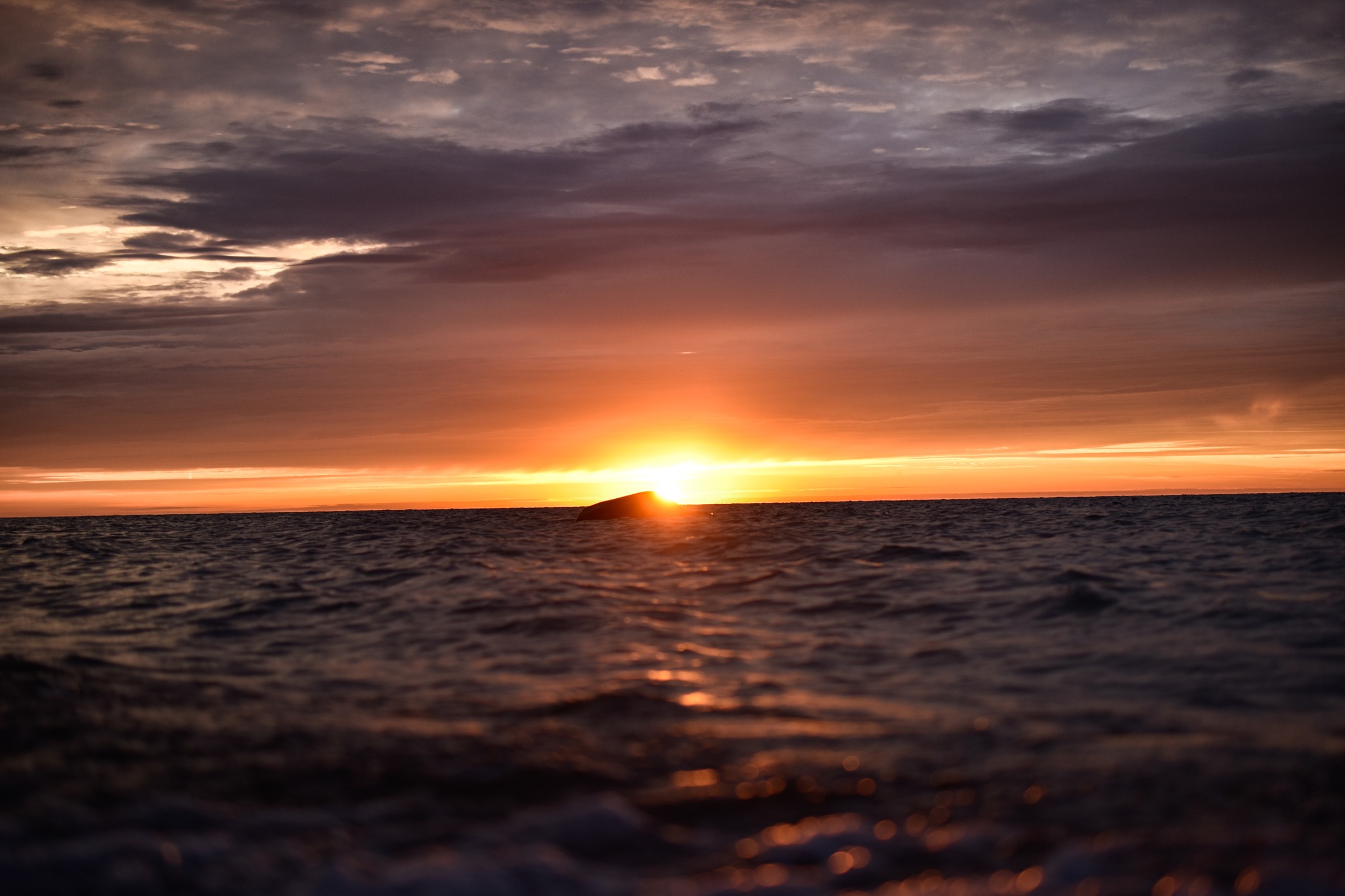 A Lake Huron sunrise on Port Salinac.