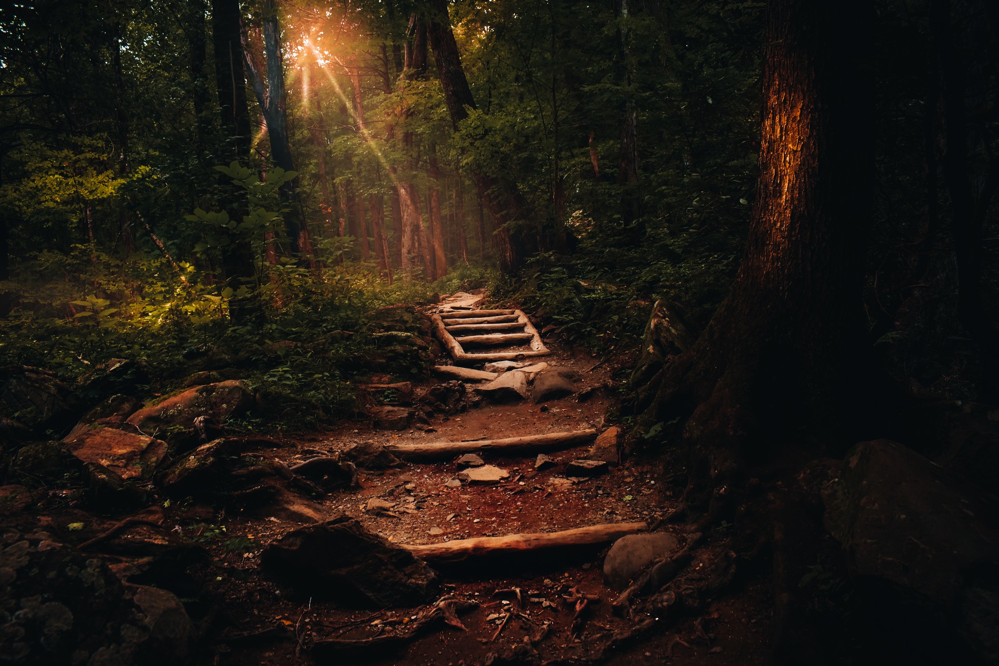 The sun light beams heavily onto a secluded set of stairs.