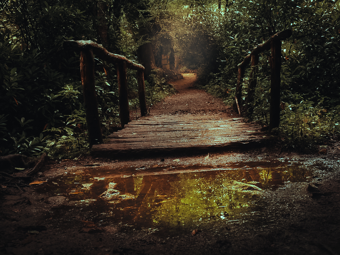 A man hikes down a path in the Smokey Mountains.