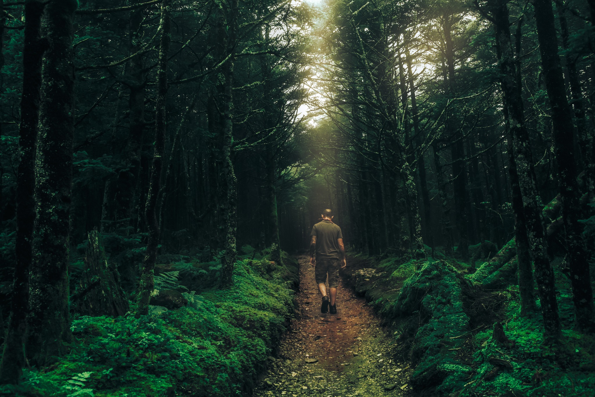 A man hikes down a path in the Smokey Mountains.