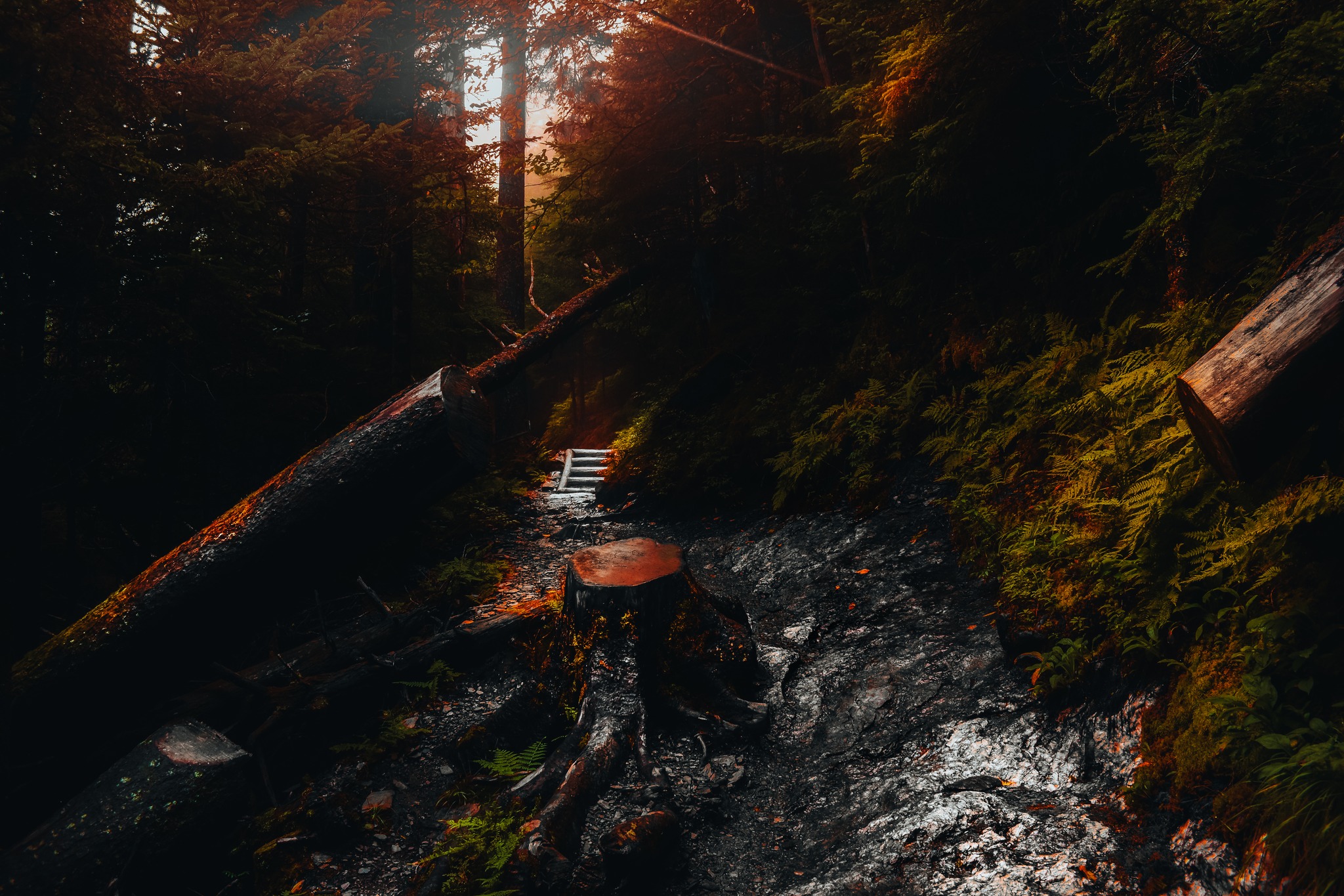 A man hiking through the Appalachians