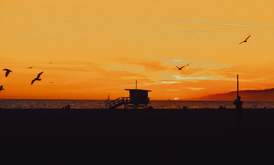 Venice Beach at Sunset.