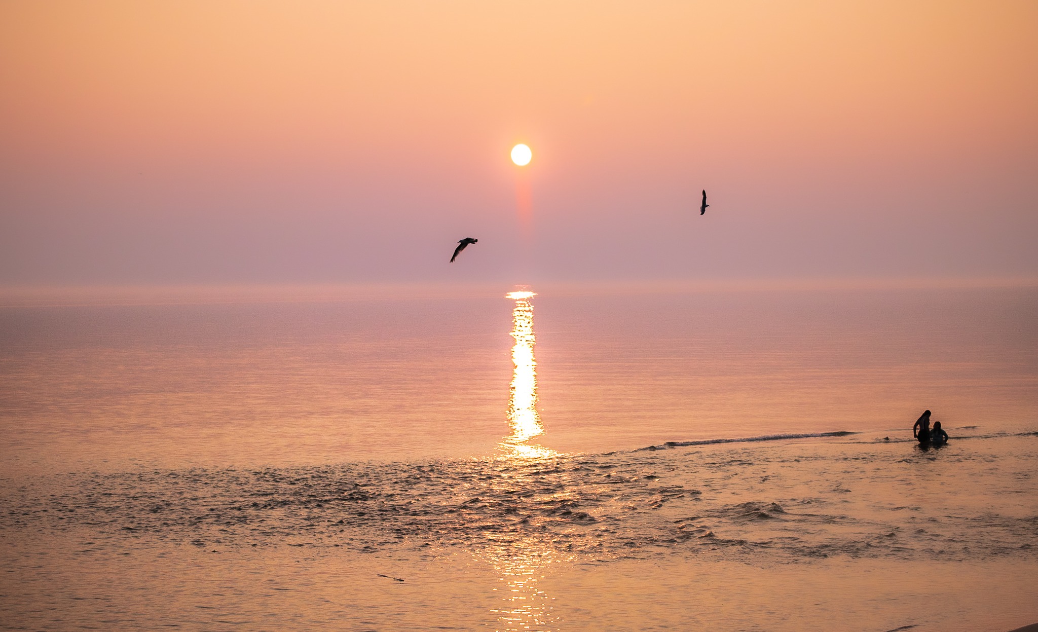 Two humans play in Lake Michigan as birds fly.