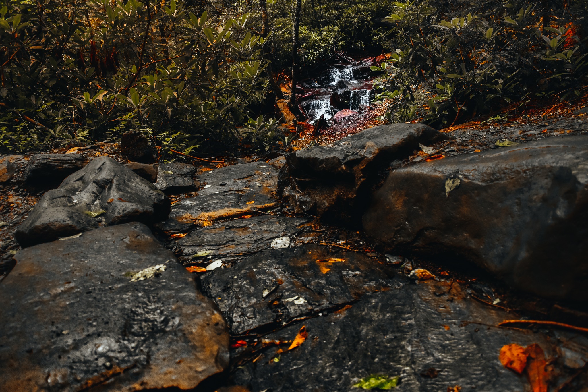 An image taken of a creek path with small waterfalls ahead.